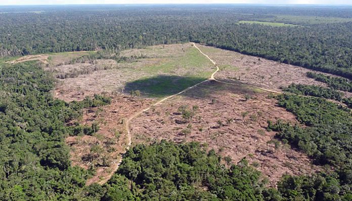 Aumento-do-Desmatamento-na-Amazonia-8