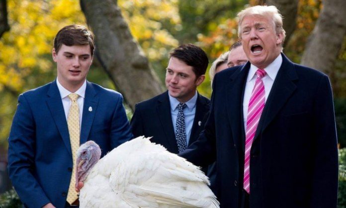 xUS-POLITICS-TRUMP-TURKEY-GHL3GB1GF.1.jpg.pagespeed.ic.TPHP6V3qQD
