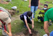 Projeto Galho Forte ultrapassa mil árvores plantadas no dia mundial do meio ambiente neste sábado (05/06)