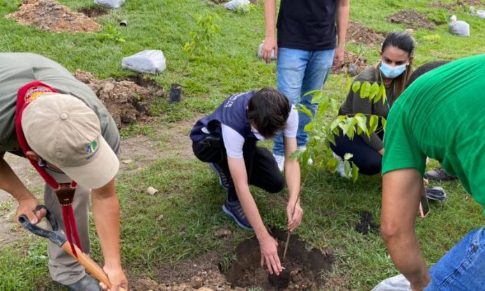 Projeto Galho Forte ultrapassa mil árvores plantadas no dia mundial do meio ambiente neste sábado (05/06)